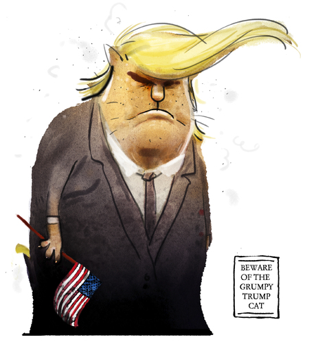 Cartoon: Trump the frump (medium) by markus-grolik tagged sanders,clinton,states,united,wahlkampf,republikaner,amerika,usa,cat,grumpy,trump,donald,donald,trump,grumpy,cat,usa,amerika,republikaner,wahlkampf,united,states,clinton,sanders