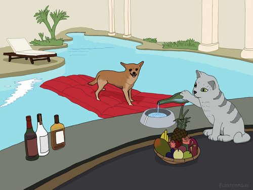Cartoon: Alzira (medium) by Frank Zimmermann tagged alzira,dog,pool,hund,matratze,cat,katze,swimmingpool,diener,flasche,whisky,hotel,cartoon,fcartoons