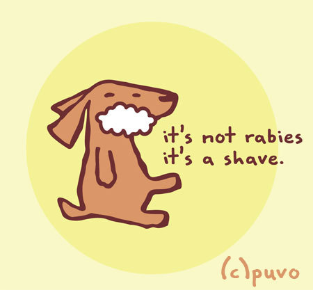 Cartoon: Rabies. (medium) by puvo tagged rabies,tollwut,hund,dog,shave,rasur,rasieren