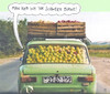 Cartoon: obstler (small) by Andreas Prüstel tagged obst,obstler,äpfel,birnen,obsttransport,obstbauer,collage,cartoon,andreas,pruestel