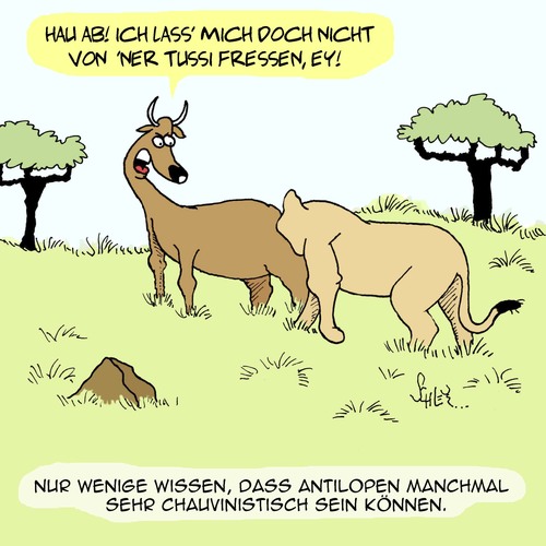 Cartoon: Neulich in der Natur... (medium) by Karsten Schley tagged natur,afrika,wildnis,tiere,wildtiere,savanne,löwen,antilopen,natur,afrika,wildnis,tiere,wildtiere,savanne,löwen,antilopen