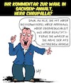 Cartoon: AfD sagt Danke (small) by Karsten Schley tagged wahlen,sachsen,anhalt,politik,chrupalla,demokratie,besserwessis