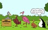 Cartoon: Flug-Wettbewerb (small) by Karsten Schley tagged natur,tiere,vögel,fliegen,umwelt
