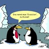 Cartoon: Pinguine (small) by Karsten Schley tagged natur,meer,arktis,antarktis,eis,klima,tiere,pinguine,biologie,evolution