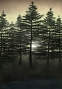 Cartoon: Forest scenery (small) by alesza tagged wald forest landschaft trees bäume