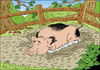 Cartoon: Happy Pig (small) by VoBo tagged happy pig mud farm farming schwein bauernhof glück