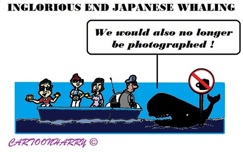 Cartoon: Japanese Whaling End (medium) by cartoonharry tagged japan,whaling,end,photos