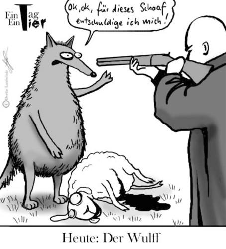 Cartoon: Der Wulff (medium) by Mistviech tagged wulff,wolf,bundespräsident,entschuldigung,schaaf