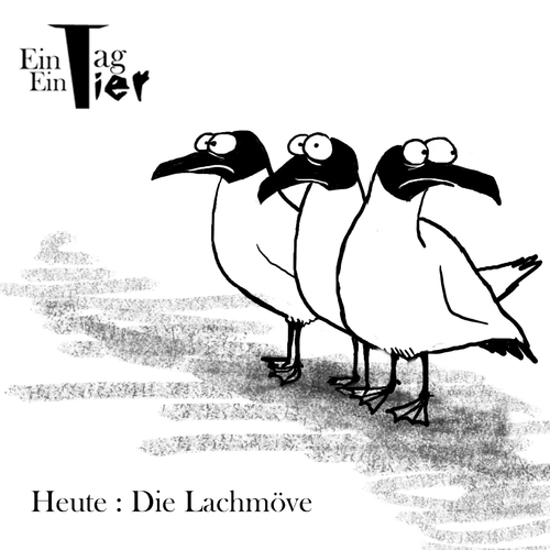 Cartoon: Die Lachmöwe (medium) by Mistviech tagged seevögel,meer,humor,witz,lachen,lachmöve,möve,natur,tiere