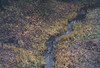 Cartoon: Herbst Fluss Brücke (small) by Kestutis tagged dada,postcard,comic,autumn,apple,apfel,snake,herbst,fluss,briefmarke,expressionismus,river,brücke,art,kunst,kestutis,lithuania