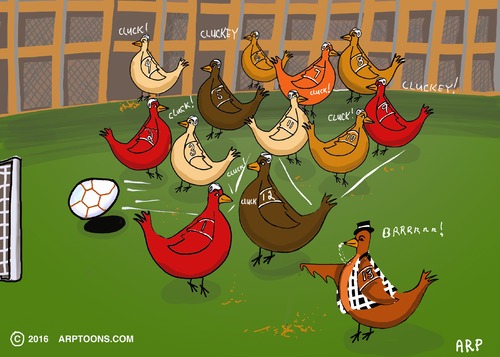 Cartoon: soccer hens (medium) by tonyp tagged arp,hens,chickens,soccer,olympics