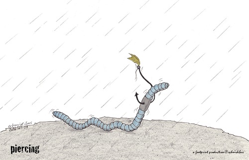 Cartoon: piercing (medium) by schmidibus tagged piercing,rainworm,earthworm,blue