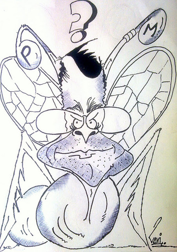 Cartoon: RAHUL GANDHI (medium) by mindpad tagged limerick,cartoon,caricature,gandhi,rahul