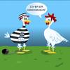 Cartoon: Alles Bio... (small) by Tricomix tagged huhn,hühner,hahn,gefängnis,bauernhof,strafe,freilandhuhn,bio,eier,freiheit