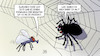 Cartoon: Insektenrückgang (small) by Harm Bengen tagged insektenrückgang,rückgang,insektensterben,fliege,spinne,landwirtschaft,harm,bengen,cartoon,karikatur