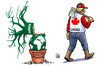 Cartoon: Kanada und Kyoto (small) by Harm Bengen tagged klima,klimagipfel,klimakatastrophe,durban,kyoto,protokoll,globale,erderwaermung,gipfel,kanada,canada,ausstieg,abkommen,holzfaeller,axt,baum,topf