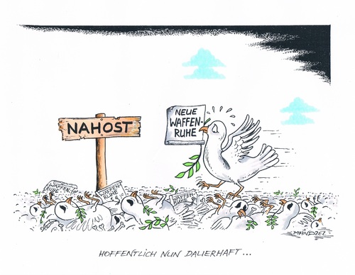 Cartoon: Ein neuer Versuch (medium) by mandzel tagged nahost,palästinenser,israelis,waffenruhe,nahost,palästinenser,israelis,waffenruhe,friedenstaube,mandzel