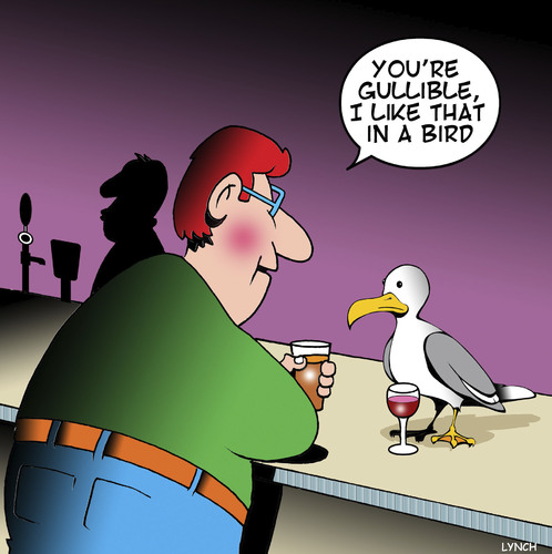 Cartoon: Gullible (medium) by toons tagged gullible,seagulls,pick,up,lines,bars,romance,animals,birdlife,gullible,seagulls,pick,up,lines,bars,romance,animals,birdlife
