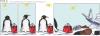 Cartoon: POLE Strip No.5 (small) by Penguin_guy tagged penguins pinguine pets tiere flugzeug plane crash