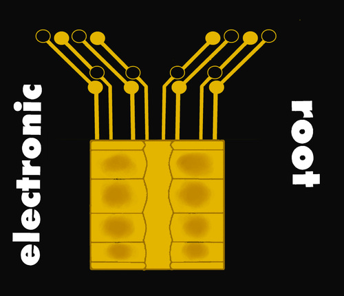 Cartoon: Electronic Root (medium) by Marbez tagged chip,integrated,circuit,electronics