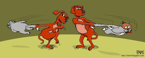 Cartoon: cat vs dogs II (medium) by raim tagged cat,dog