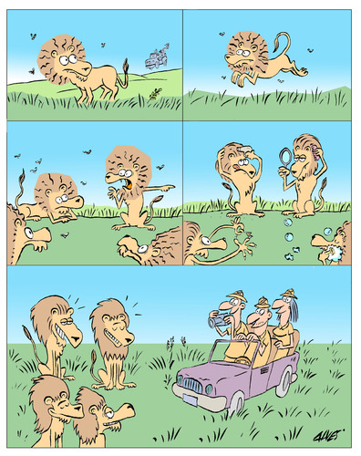 Cartoon: Lions (medium) by alves tagged lions,safari,tourism