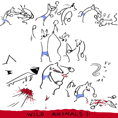 Cartoon: boxfight (medium) by Bonville tagged wild,animals,box,fight