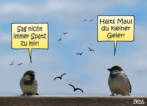 Cartoon: Spatzen-Zwist (medium) by besscartoon tagged spatz,geier,vogel,mann,frau,ehe,beziehung,wohnen,bess,besscartoon