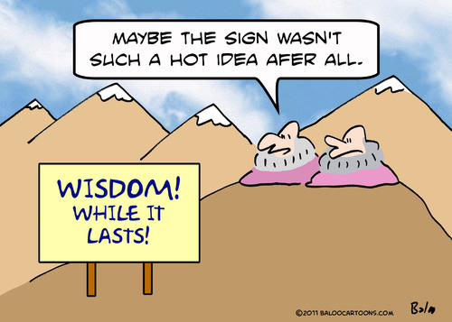 Cartoon: Idea gurus wisdom lasts (medium) by rmay tagged idea,gurus,wisdom,lasts