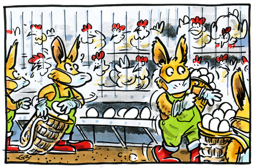 Cartoon: Ostern (medium) by GB tagged schale,futter,genmanipuliert,dioxin,chicken,hühner,eggs,eier,hase,bunny,easter,ostern,ostern,hühner,schale,futter,genmanipuliert,dioxin,huhn,tiere,tierhaltung,fütterung,osterhase,klauen,diebstahl