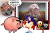 Cartoon: Schweinegrippe (small) by eCollage tagged egoismus,gier,kapitalismus,faschismus