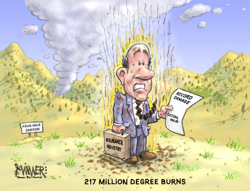 Cartoon: 217 degree burns (medium) by karlwimer tagged wildfire,fire,insurance,business,economics,damage