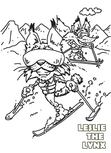 Cartoon: Fox and Lynx (medium) by karlwimer tagged lynx,fox,ski,disabled,adaptive,snow