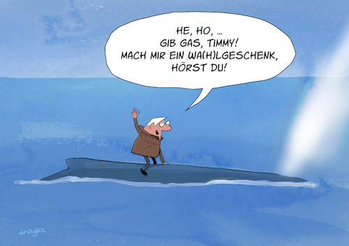 Cartoon: Backhaus (medium) by droigks tagged backhaus,walrettung,wahl,mecklenburg,vorpommern,droigks,buckelwal,timmy,ostsee,poel,spd,landtagswahl,politik,inszenierung,aktivisten,tierwohl,rettungsversuch,kritik,umweltschutz,backhaus,walrettung,wahl,mecklenburg,vorpommern,droigks,buckelwal,timmy,ostsee,poel,spd,landtagswahl,politik,inszenierung,aktivisten,tierwohl,rettungsversuch,kritik,umweltschutz