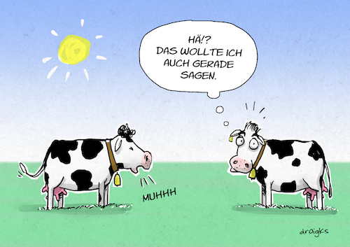 Cartoon: Konversation (medium) by droigks tagged zwangloses,gespräch,unterhaltung,einsilbig,droigks,konversation,tierisch,kuh,rindvieh,rind,deckungsgleich,zwangloses,gespräch,unterhaltung,einsilbig,droigks,konversation,tierisch,kuh,rindvieh,rind,deckungsgleich