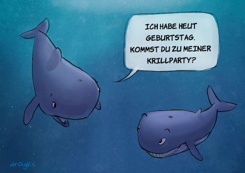 Cartoon: Krillparty (medium) by droigks tagged cartoon,comic,droigks,wal,bartenwal,zahnwal,walfisch,säugetier,jubiläum,geburtstagsfeier,geburtstagsparty,grillparty,meer,ozean,meeresbewohner,unterwasser,feier,party,cartoon,comic,droigks,wal,bartenwal,zahnwal,walfisch,säugetier,jubiläum,geburtstagsfeier,geburtstagsparty,grillparty,meer,ozean,meeresbewohner,unterwasser,feier,party