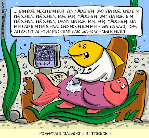 Cartoon: pränataldiagnostik (medium) by leopold maurer tagged fisch,ultraschall,geburt,schwangerschaft,pränataldiagnostik,pränataldiagnostik,schwangerschaft,geburt,ultraschall,fisch