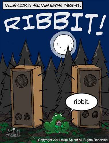 Cartoon: Muskoka Summer Night. (medium) by Mike Spicer tagged frogcartoons,ribbit,muskoka,nature,toadcartoons