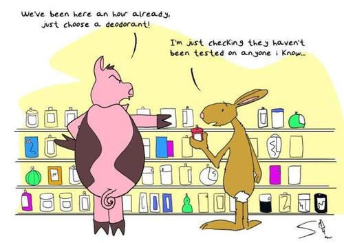 Cartoon: Animal friendly (medium) by Spen tagged pig,rabbit,deodorant,testing