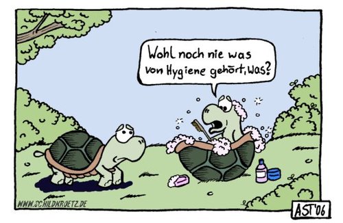 Cartoon: Schildkroetz (medium) by Astu tagged turtles,schildkroetz,fun