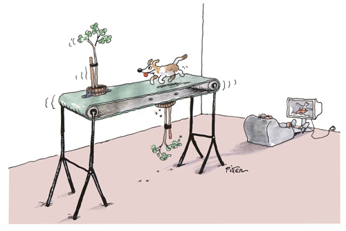 Cartoon: Laufband (medium) by Klaus Pitter tagged dog,tree,dogwalking