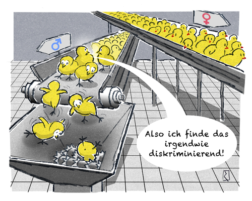 Cartoon: Küken (medium) by Jan Rieckhoff tagged küken,männlich,hühner,zucht,mast,massentierhaltung,hühnerfarm,fleisch,geflügel,tötung,schreddern,aussortieren,schlachten,tierquälerei,nahrung,nahrungsmittel,cartoon,witz,karikatur,comic,jan,rieckhoff,küken,männlich,hühner,zucht,mast,massentierhaltung,hühnerfarm,fleisch,geflügel,tötung,schreddern,aussortieren,schlachten,tierquälerei,nahrung,nahrungsmittel,cartoon,witz,karikatur,comic,jan,rieckhoff