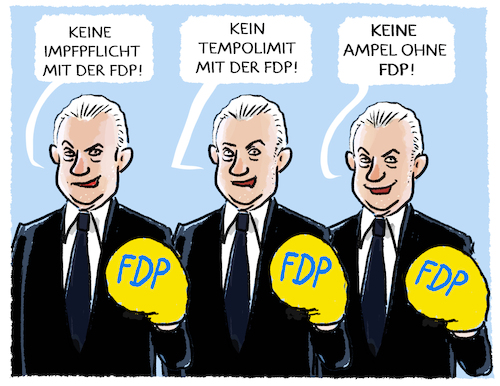 Ampel-FDP