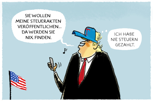 Donalds Steuererklärung