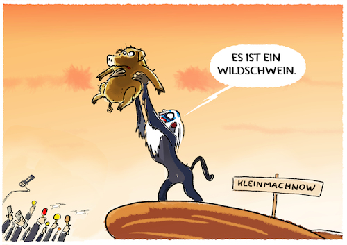 Cartoon: Sommerlochlöwe (medium) by markus-grolik tagged sommerloch,loewe,wildschwein,presse,kleinmachnow,brandenburg,berlin,deutschland,sommerloch,loewe,wildschwein,presse,kleinmachnow,brandenburg,berlin,deutschland