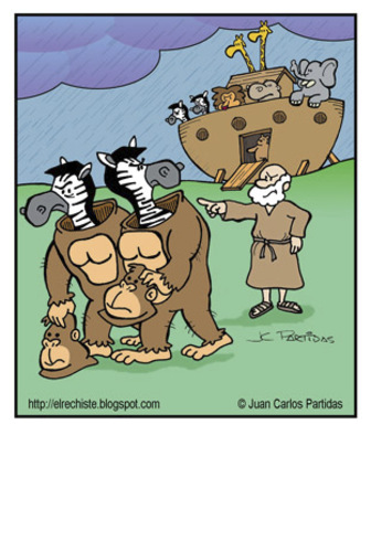 Cartoon: Cheaters (medium) by Juan Carlos Partidas tagged genesis,testament,old,bible,flood,gorilla,zebra,animal,noah,ark
