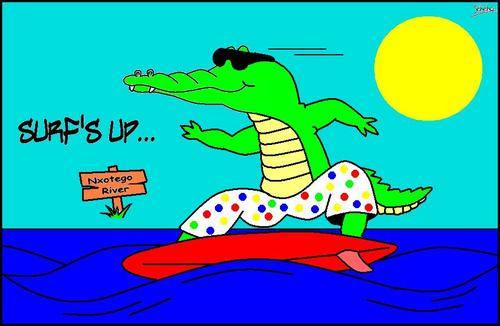 Cartoon: SURFS UP (medium) by Thamalakane tagged crocodiles,surfing,river,flood