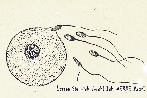 Cartoon: Dr. Sperm (medium) by Ludwig tagged sperm,arzt,befruchtung,fertilising