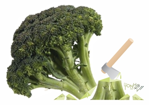 Cartoon: Green salad (medium) by Tonho tagged green,broccoli