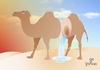 Cartoon: Camel (small) by Tonho tagged camel,water,arroba,desert